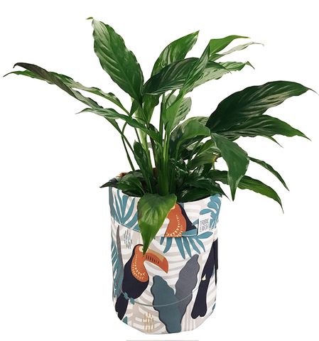 Pot Plant Cover | Flower Pot Holder | Storage Basket - Toucan